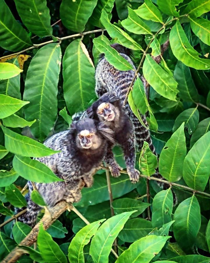 Pousada Costao Do Sol Angra dos Reis Kültér fotó