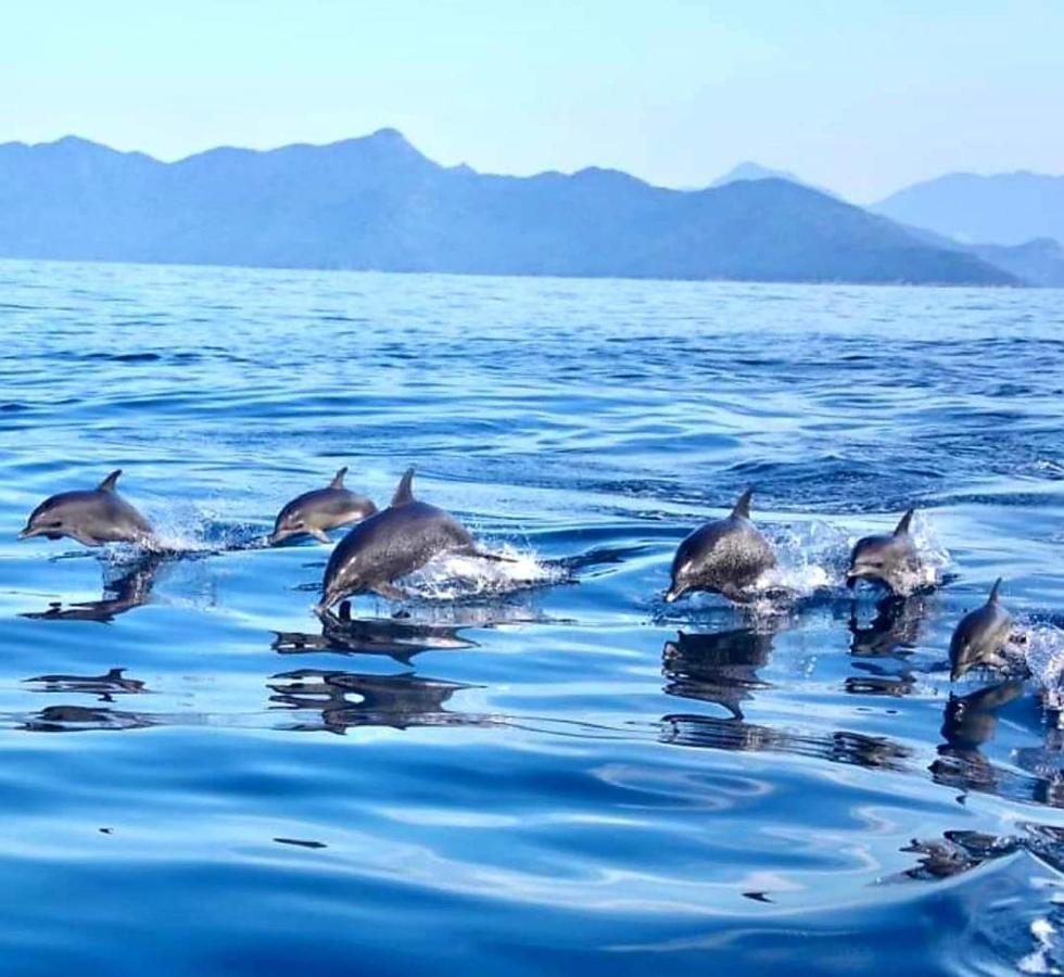 Pousada Costao Do Sol Angra dos Reis Kültér fotó