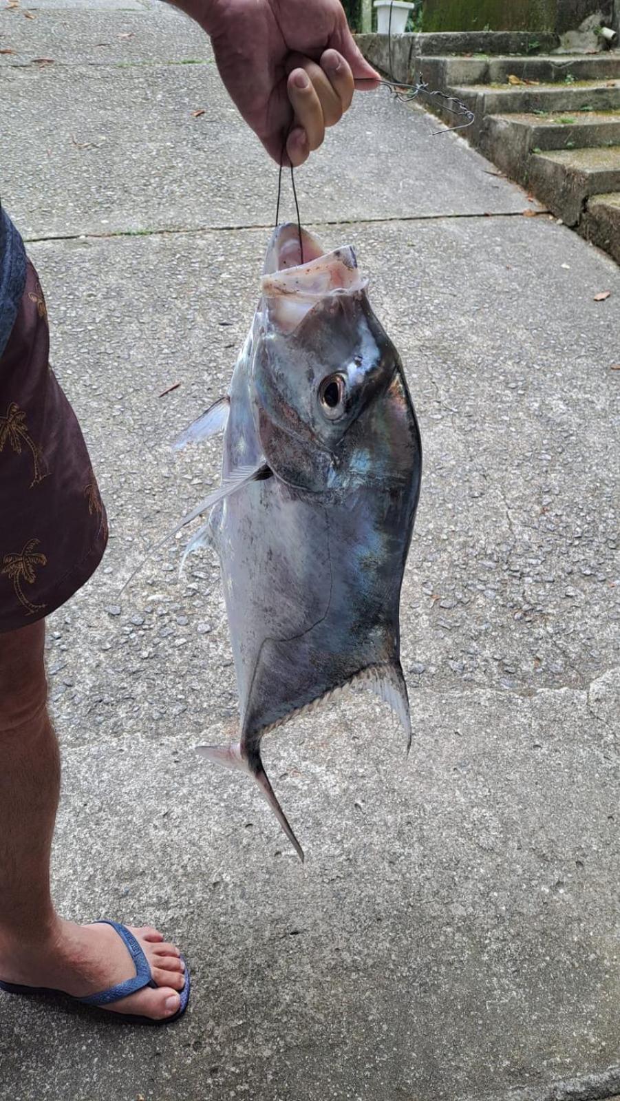 Pousada Costao Do Sol Angra dos Reis Kültér fotó