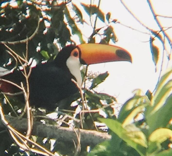 Pousada Costao Do Sol Angra dos Reis Kültér fotó